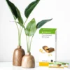 Товар протеїнові батончики Лимон Herbalife
